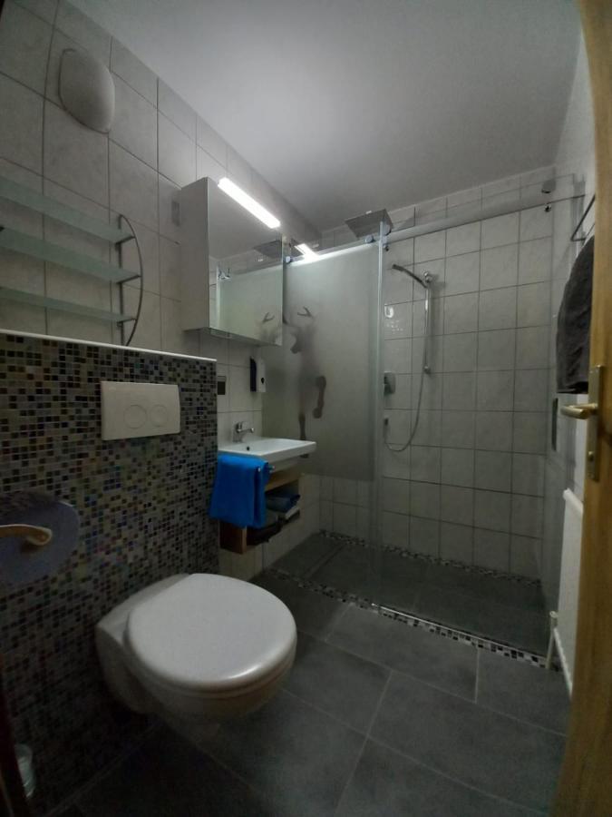 Appartement Wenger Бад Хофгаштайн Экстерьер фото